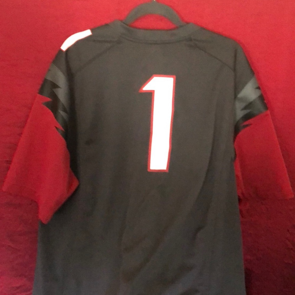 Arkansas Razorback Collection - Picture 4 of 8